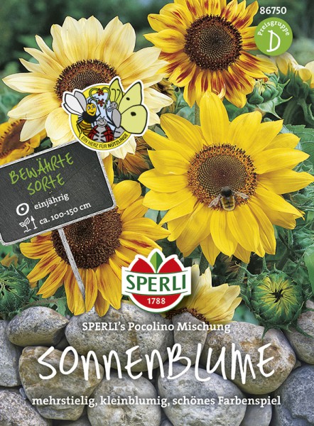 SPERLI Sonnenblume Picolino Mix