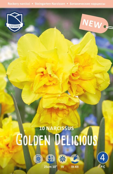 Steingarten Narzissen-Golden Delicious 10 Stück
